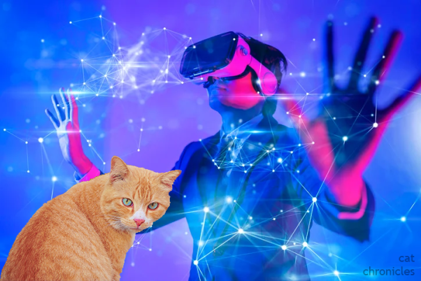 The cat in the metaverse two