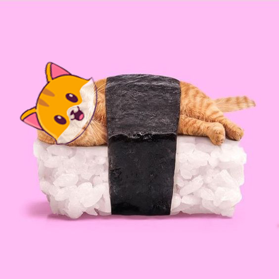 Cat with sushiswap