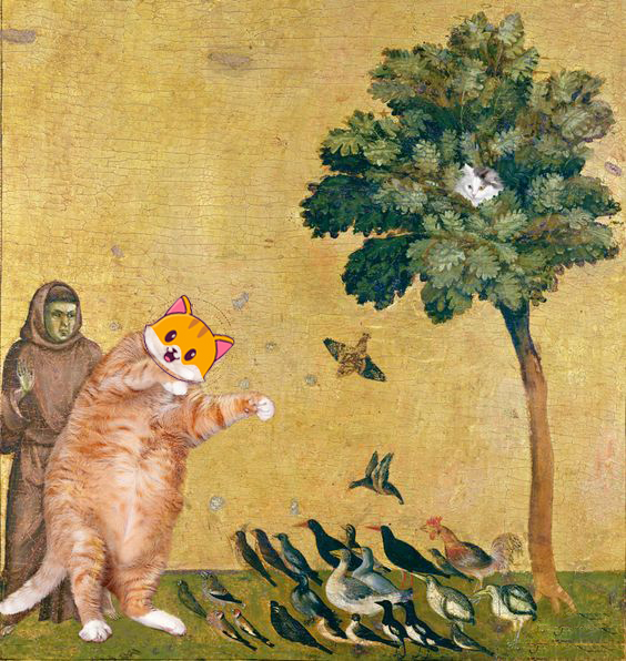 Catcoin playing with other memecoins