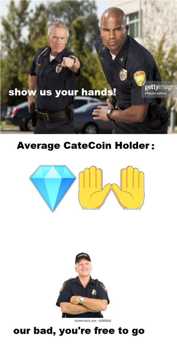 When the police stop a CateCoin holder