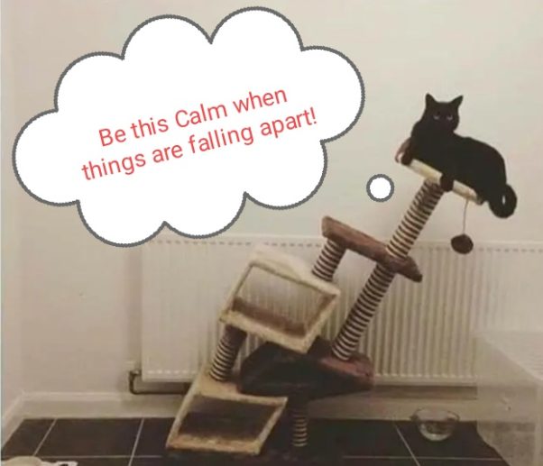Goal is to Be this CALM when things are falling apart!