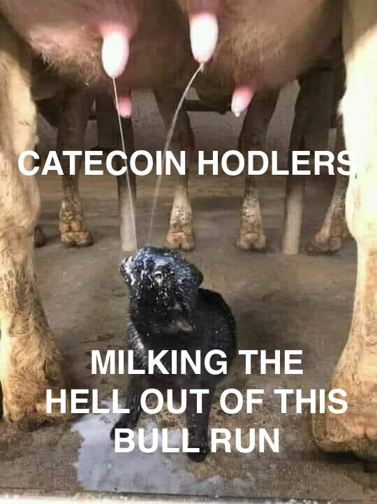 MILK IT UP TO NEW ALL TIME HIGHS!!!