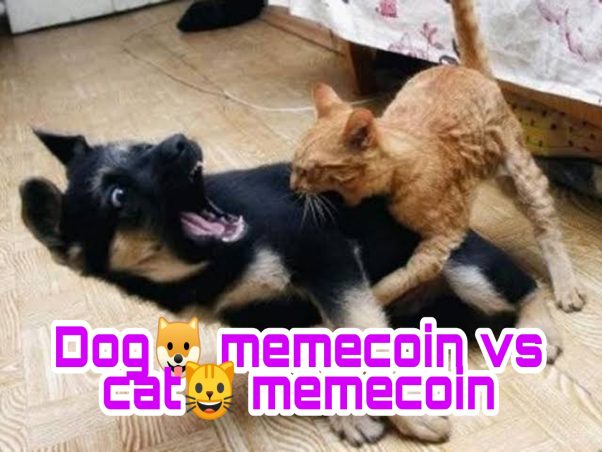 Cat overtaking dog memecoin