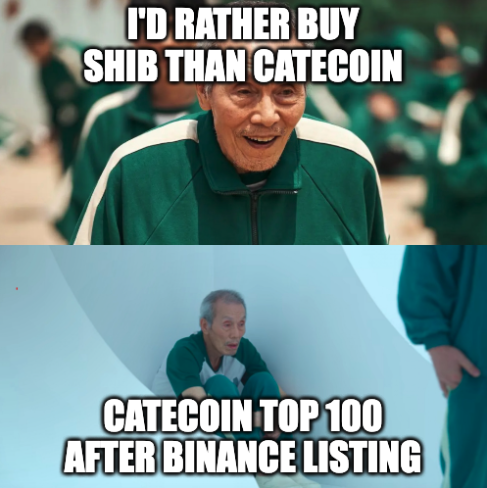 Catecoin to the moon!!