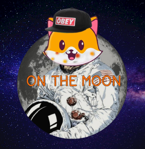 Cate on the moon