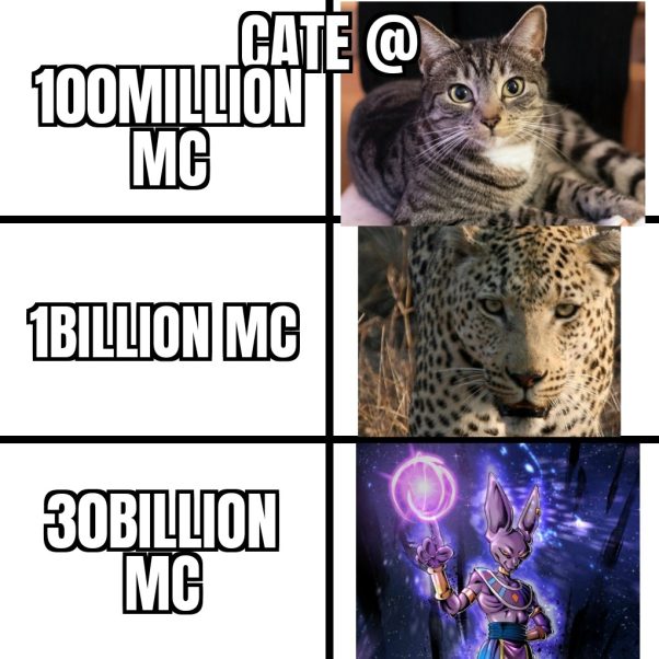 Catecoin when level 3 power up