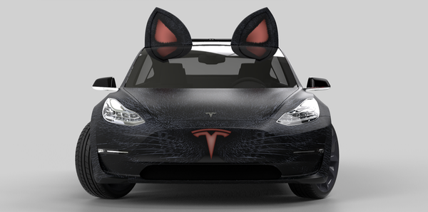 New factory Tesla's when CATE overtake DOGE