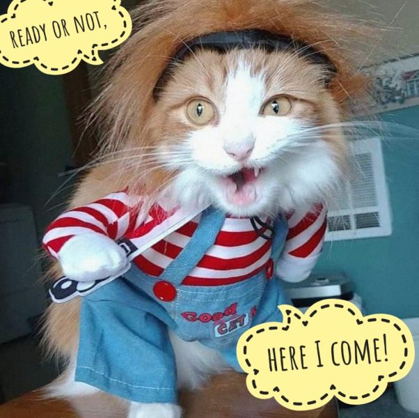 Ready or not, here I come!