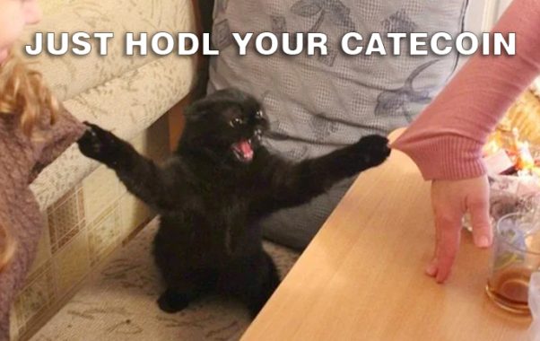 JUST HODL YOUR CATECOIN