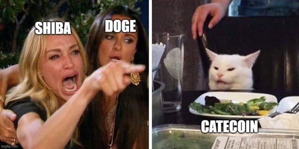 DOGE & SHIB vs. CATE