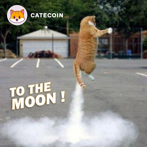 CATECOIN TO THE MOON 🚀🌑