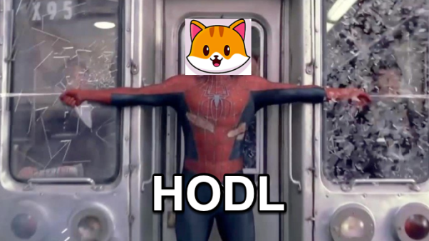CATE wants you to HODL