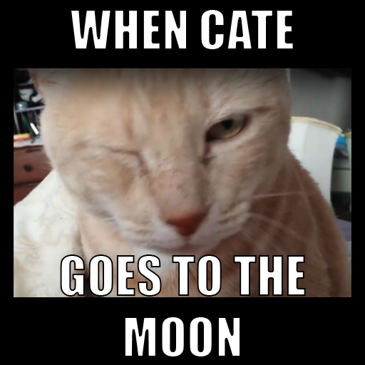 When CATE goes to the moon
