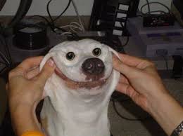 Doge HODLERS TRYING TO SMILE