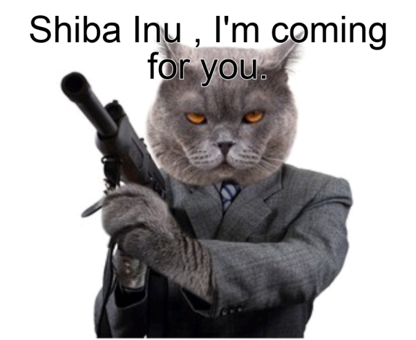 Shiba Inu , I'm coming for you.