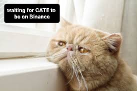 CATE can't wait for Binance