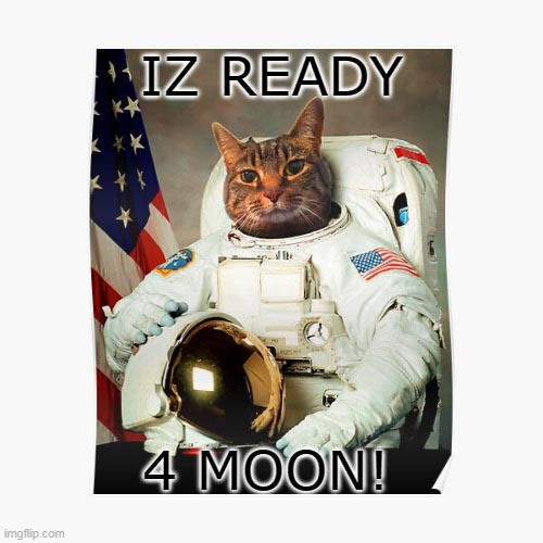 Cate to the Moon!