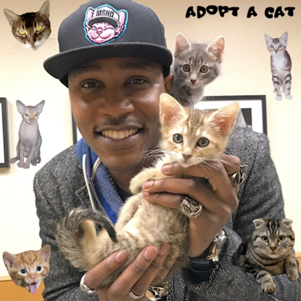 Adopt a CAT! Ay!
