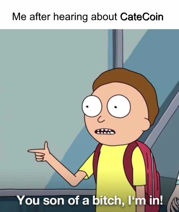 Me after hearing about CateCoin: