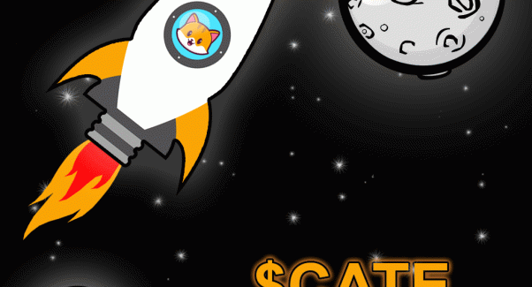 $CATE to the moon!