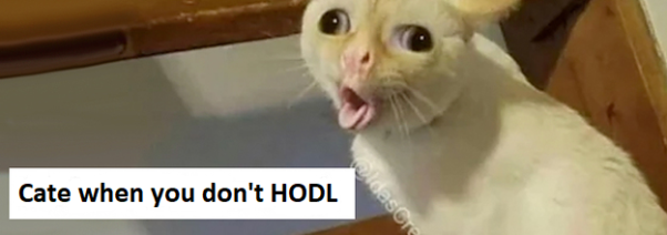 HODL so CATE won't look like this