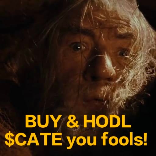 BUY AND HODL $CATE YOU FOOLS!
