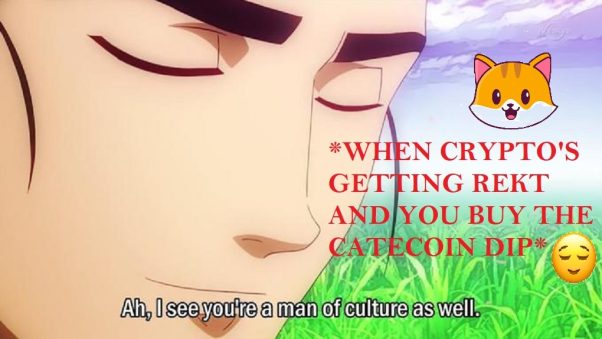 CATECOIN MAN OF CULTURE