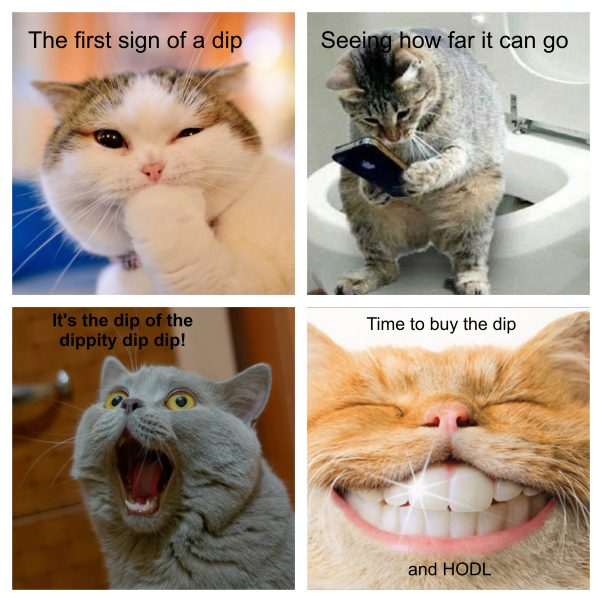 Cate HODLrs are the cats meow