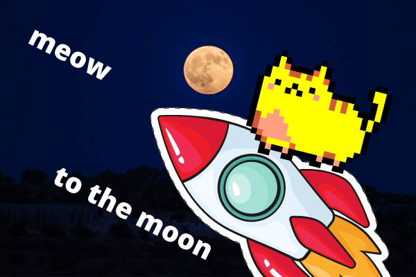 CATE COIN TO THE MOON