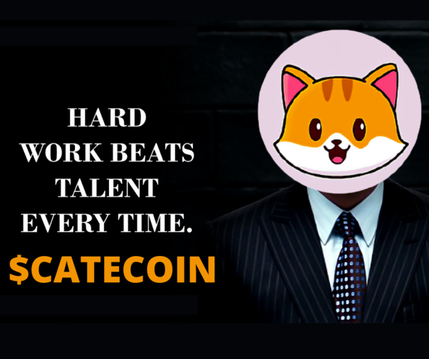 Hardwork beats talent everytime #catecoin