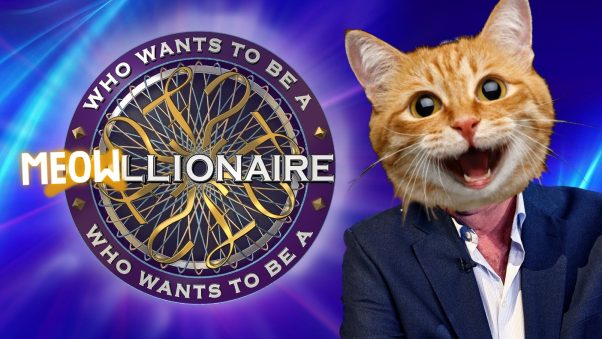 Who wants to be a MEOWLLIONAIRE