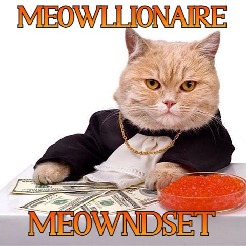 Meowllionaire Meowndset