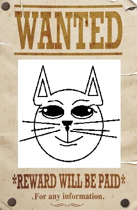 CAT WANTED GET REWARDED