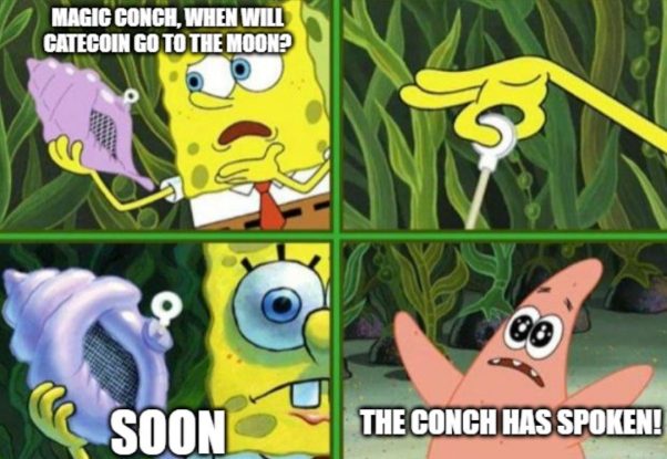 All Hail the Magic Conch!