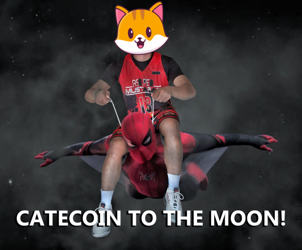 Catecoin to the moon with Spidey!