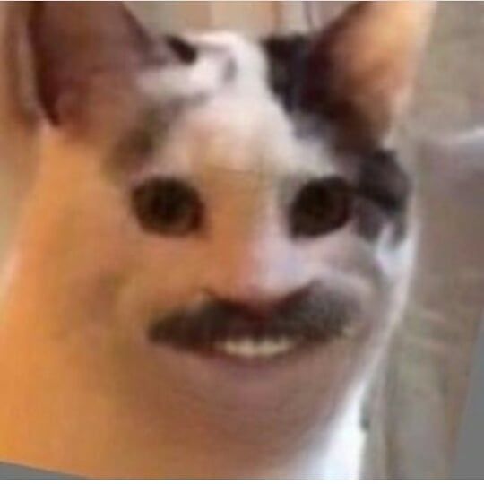When your father also buys from CateCoins. $$$