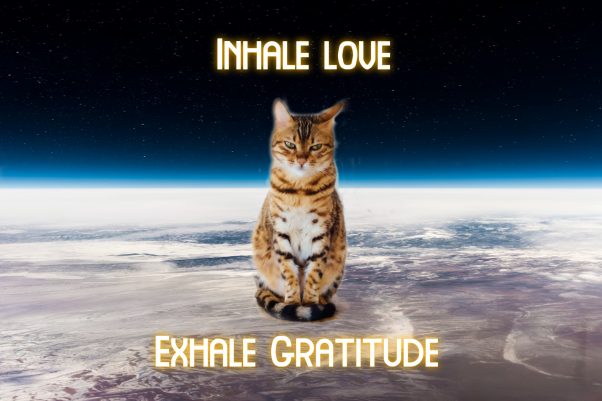 Inhale Love. Exhale Gratitude.