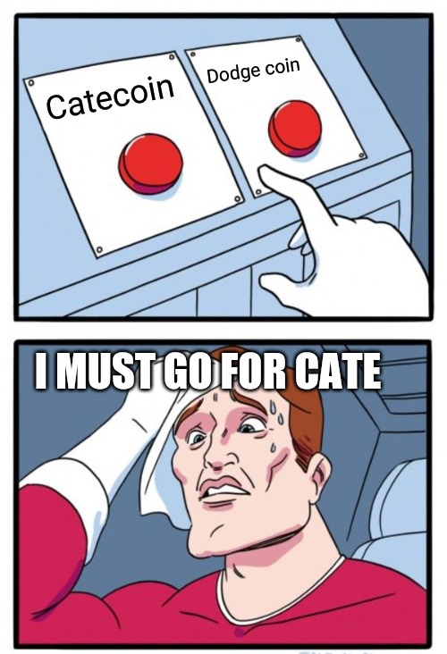 I must do catecoin