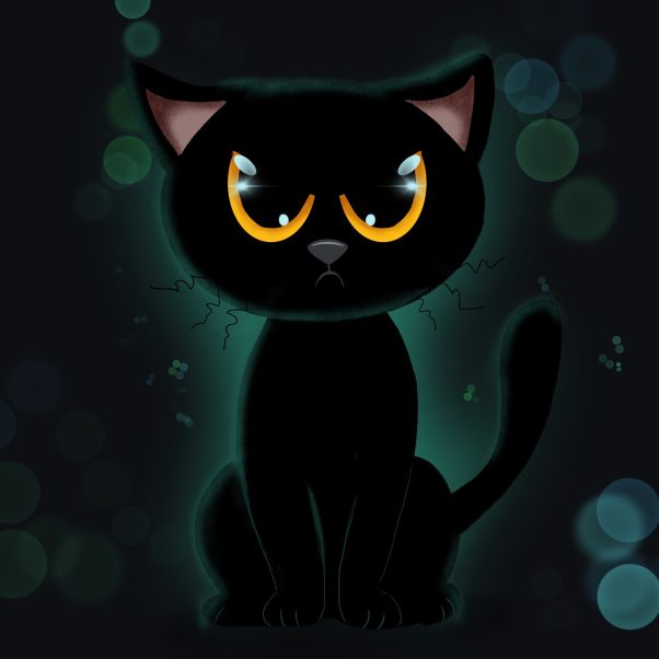 The angry black cat