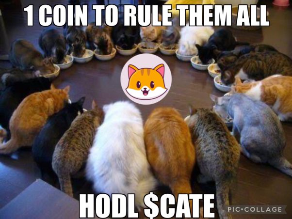 One Coin to Rule them all!