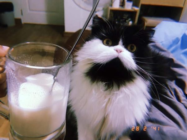 Just some milk?