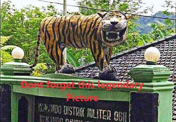Tiger statue with distorted face