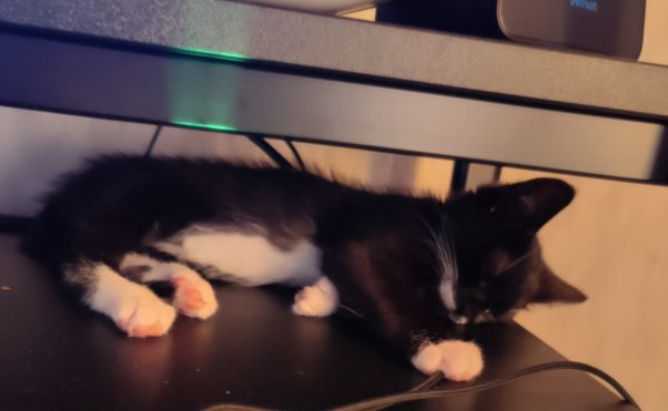 Baby Cate Sleeping at the desk