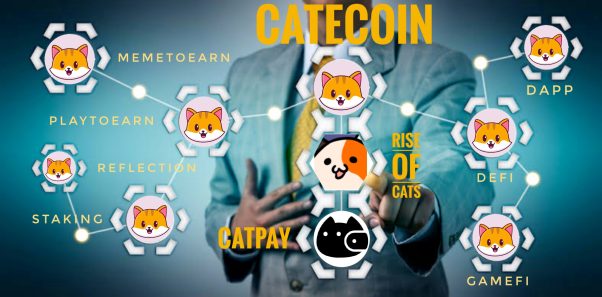 Catecoin goes Moon
