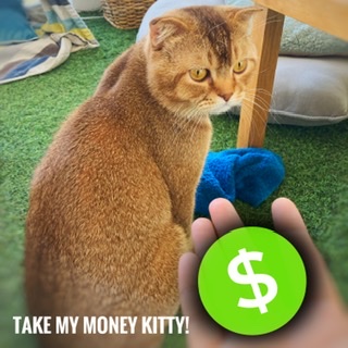 Take my Money now!