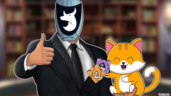 BSC News Catecoin Partners with Oxbull for 'Rise of Cats' NFT Drop on BSC