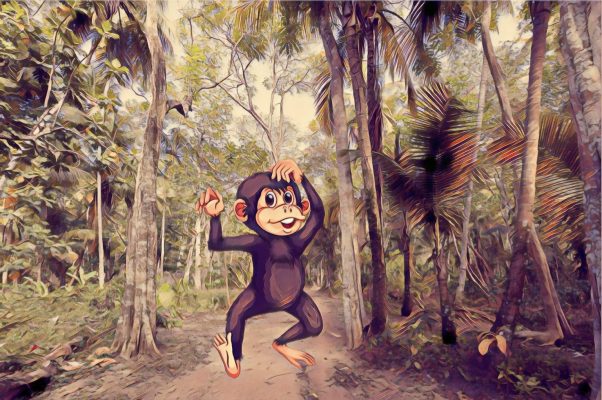 Funny Monkey in The Jungle