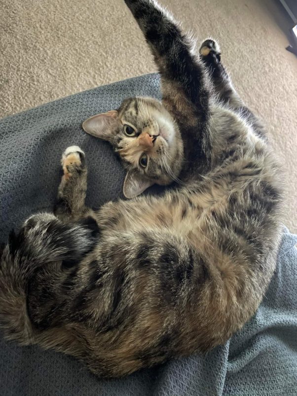 Cate doing a stretch