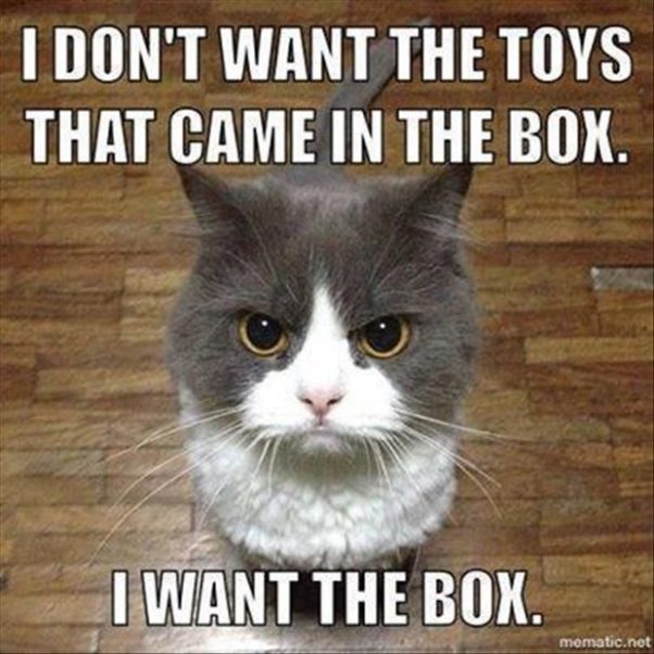 Cat Want Box Only