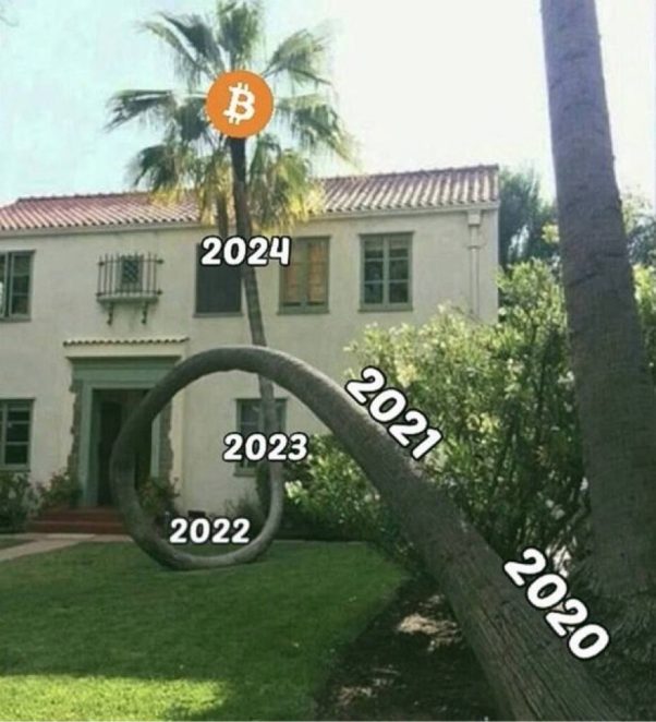 #bitcoin is future  . #catememes #cate #catpay 2020-2021-2022-2023-2024-2025